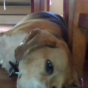 sellingall of my tow Bigos